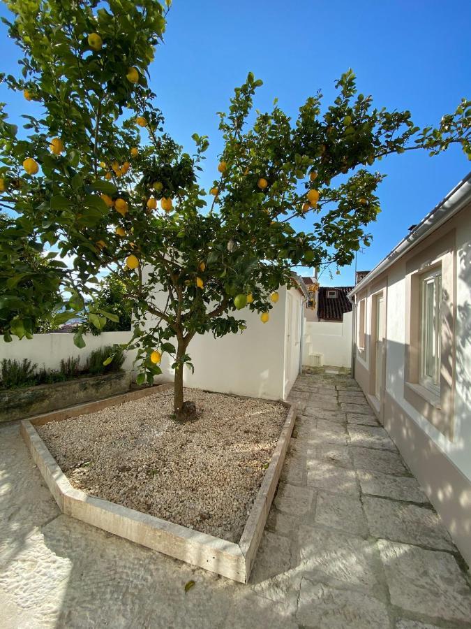 Sé Velha studios Coimbra Esterno foto